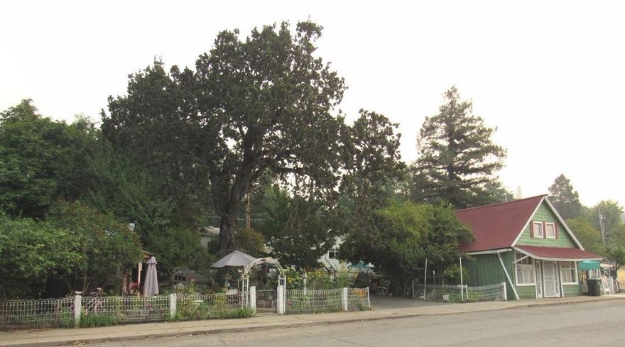 Imagine the possibilities with this sweet 3 in 1 deal! Unit A) A 2 bedroom 1 bath, 709 sq.ft. building used over the years as both commercial & residential, for 12 years it was known as Apple Rose Cottage.'' Unit B.) Built in 1960 this 800 sq. ft. cutie has 3 bedroom, 1 bath, large living room & handy pantry. Unit C.) Is a 1188 sq. ft, 3 bedroom, 2 bath Palm Harbor m/h, built in 1996 with carport. Add the 33'x 41' general purpose building, a potting shed (w/electricity & water) alley access, beautiful walnut, cherry & filbert trees on .29 acre with commercial zoning in downtown Gold Hill & you've got it all just blocks from the Rogue River. Enjoy fishing, swimming, white water rafting, golf, zip line, House of Mystery, Del Rio Vineyard and more in your own backyard. Centrally located between Medford and Grants Pass with easy access to I-5 and Hwy 234. Multifamily? Business? Investment rentals? Airbnb? Your choice.