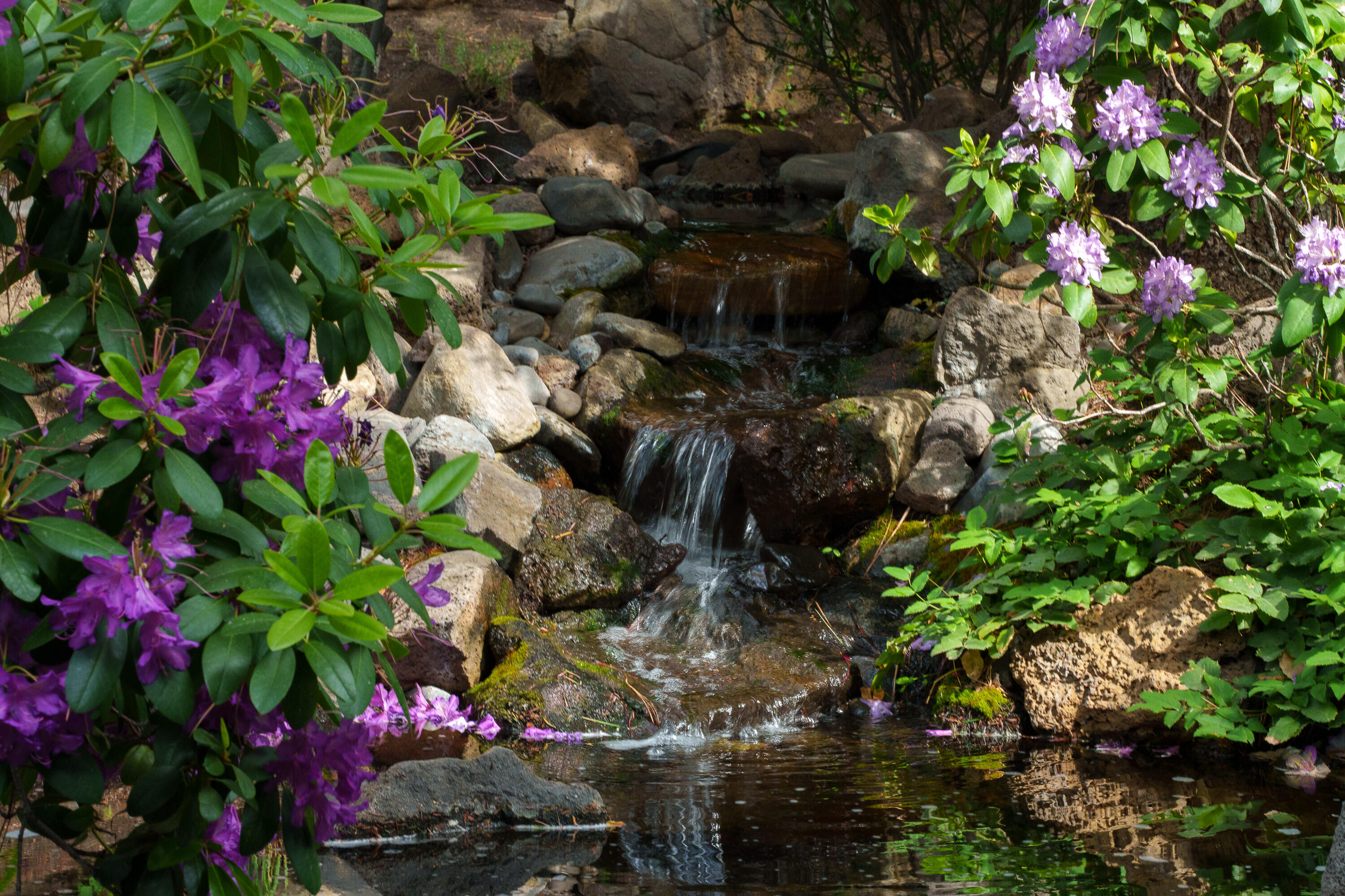 Awbrey Glen - Residential