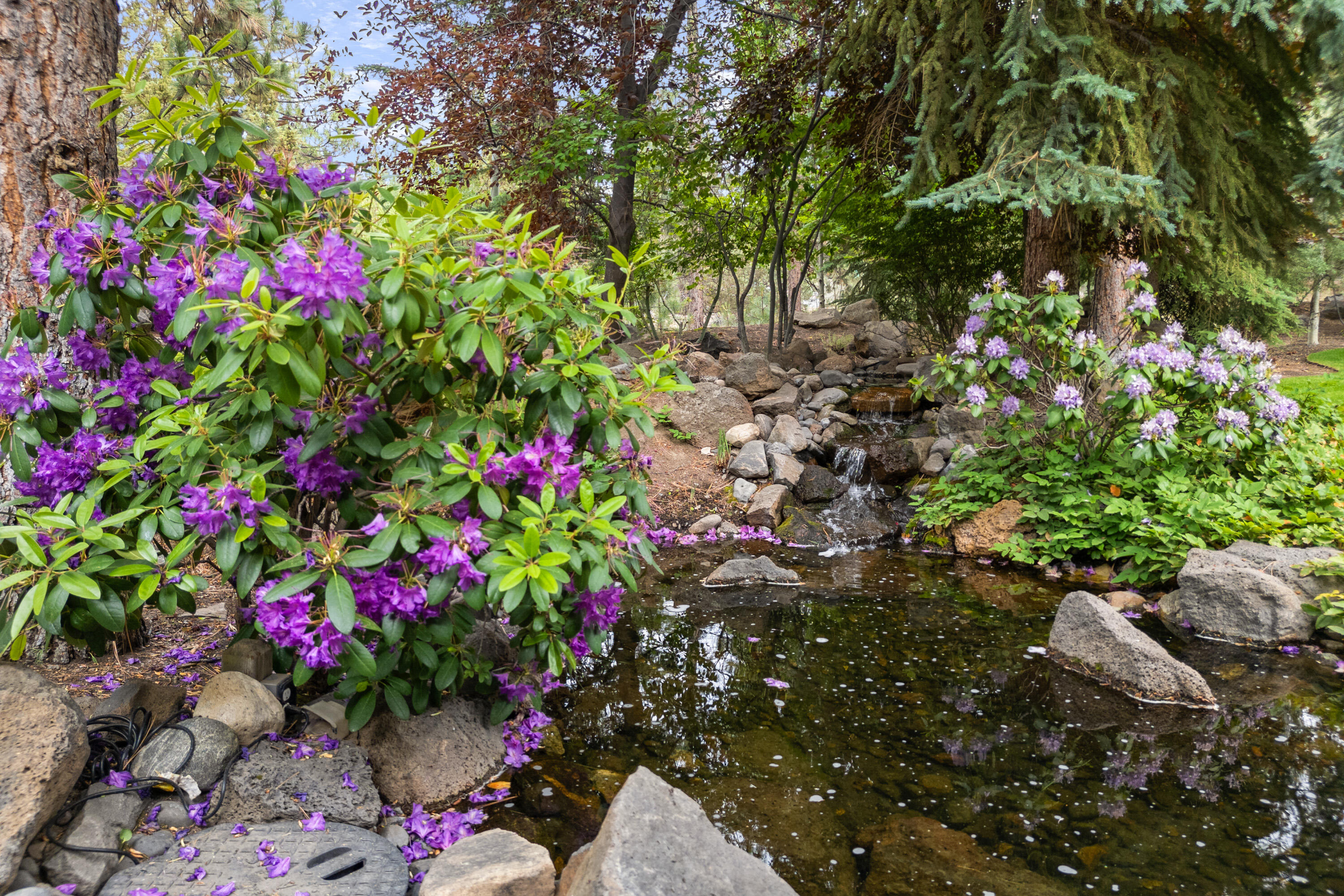 Awbrey Glen - Residential