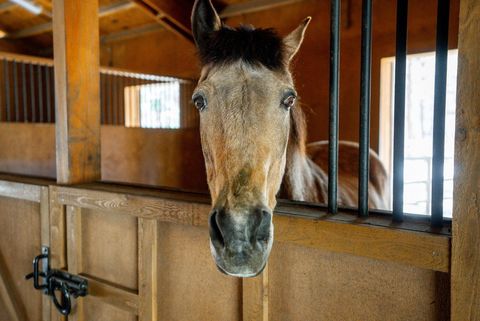 Tiny photo for 69255 Crooked Horseshoe Road, Sisters, OR 97759 (MLS # 220215140)