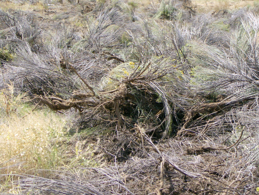 Washburn Park - Land