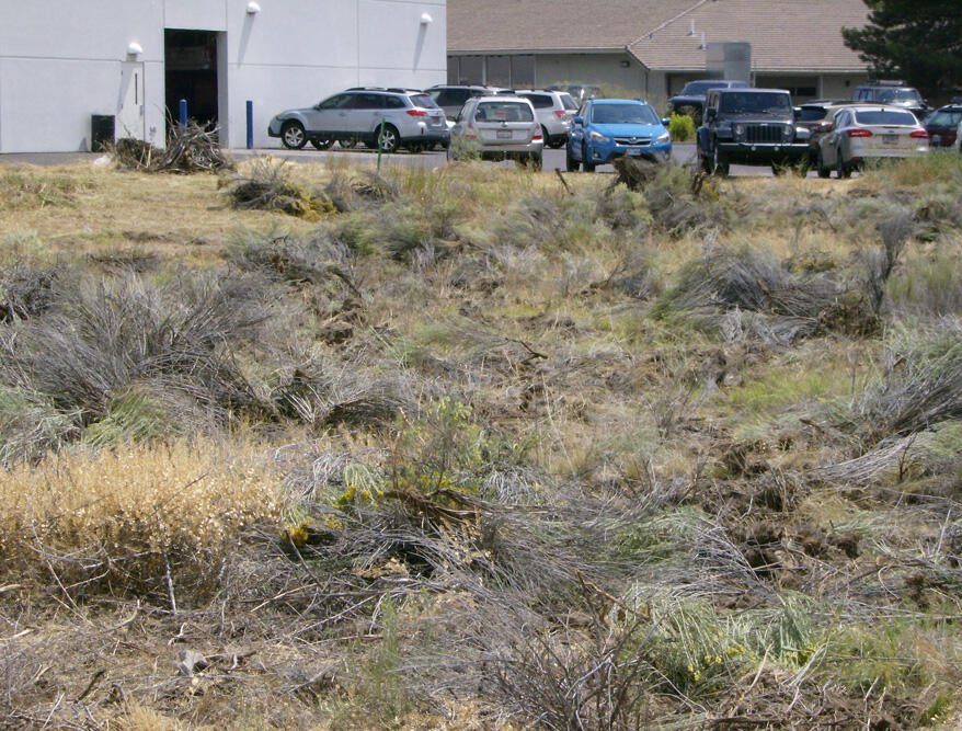 Washburn Park - Land