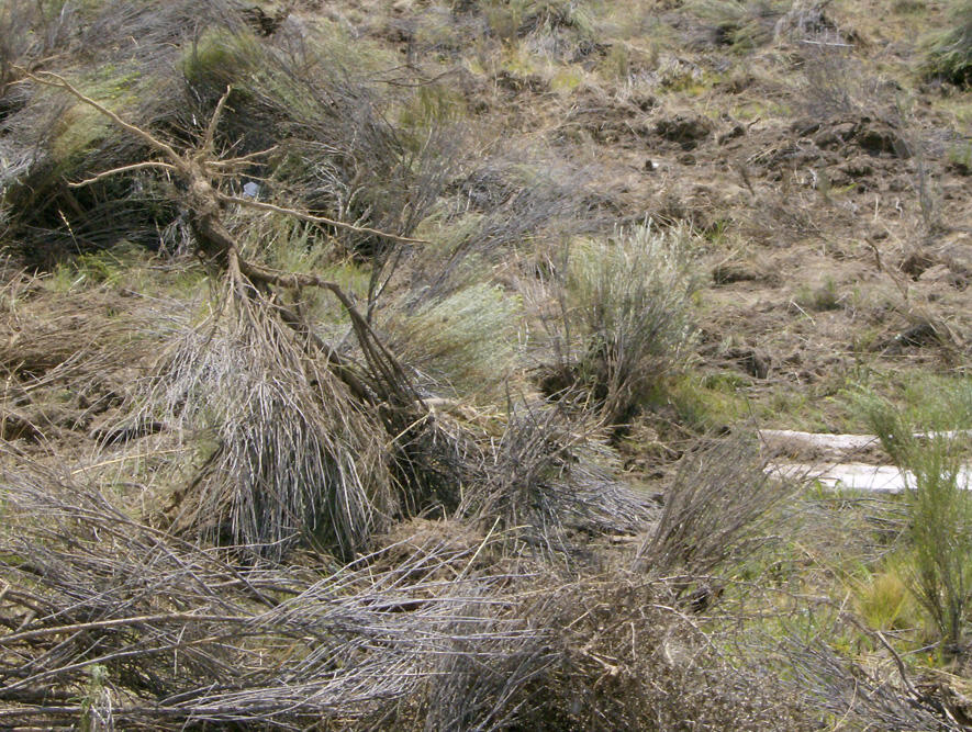 Washburn Park - Land