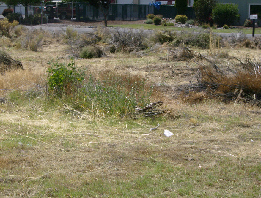 Washburn Park - Land