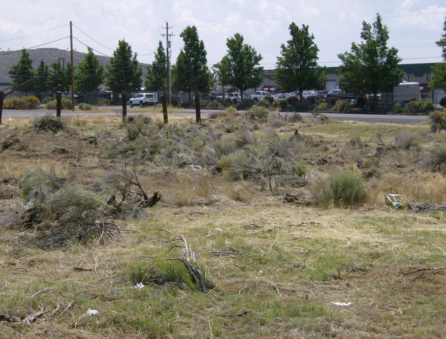 Washburn Park - Land