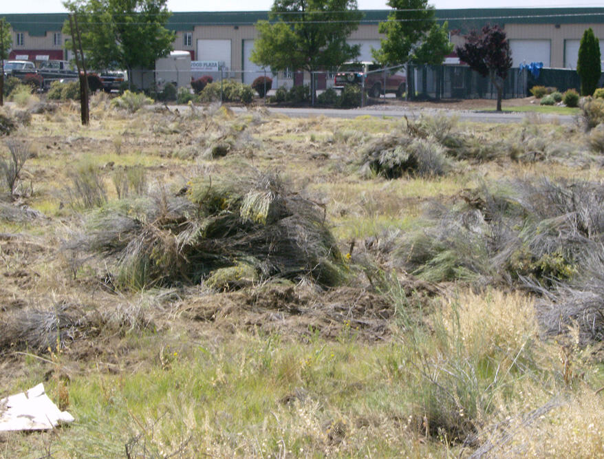 Washburn Park - Land