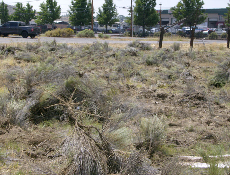 Washburn Park - Land