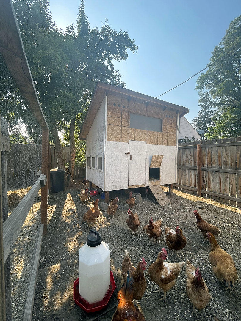 Homecrest - Residential