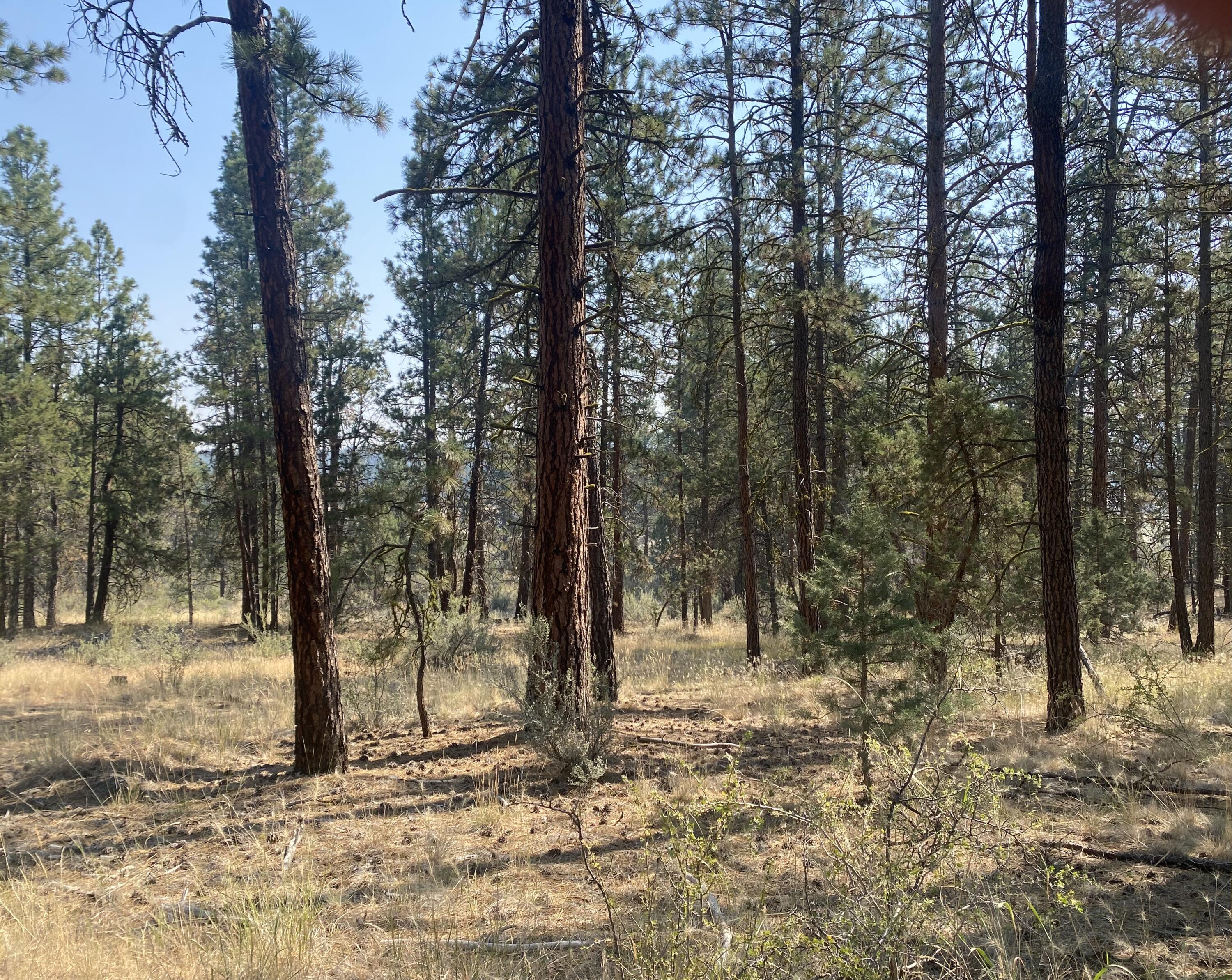 Klamath Falls Forest Estates -Hwy 66 Unit -Plat No. 2 - Land