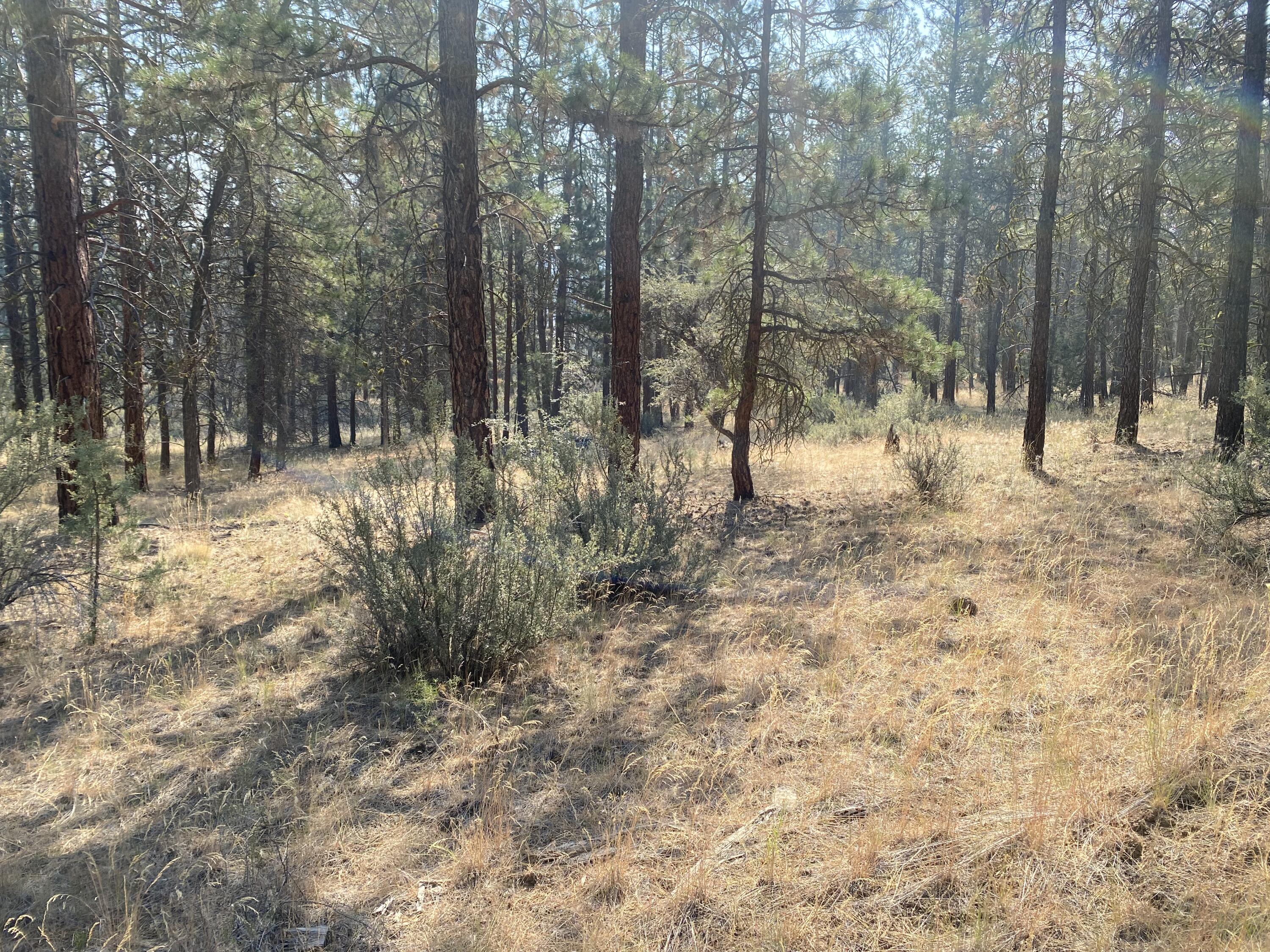Klamath Falls Forest Estates -Hwy 66 Unit -Plat No. 2 - Land