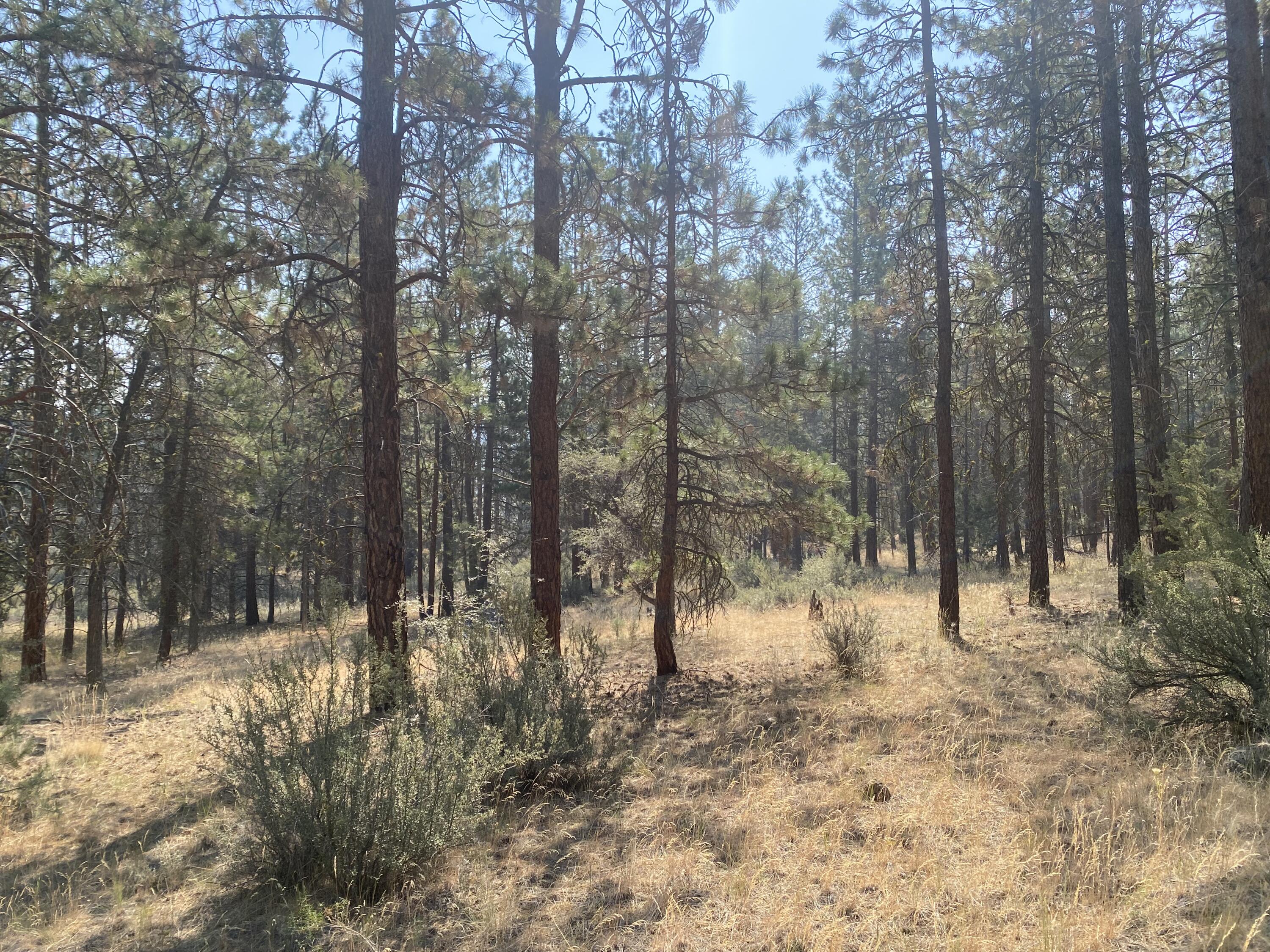 Klamath Falls Forest Estates -Hwy 66 Unit -Plat No. 2 - Land