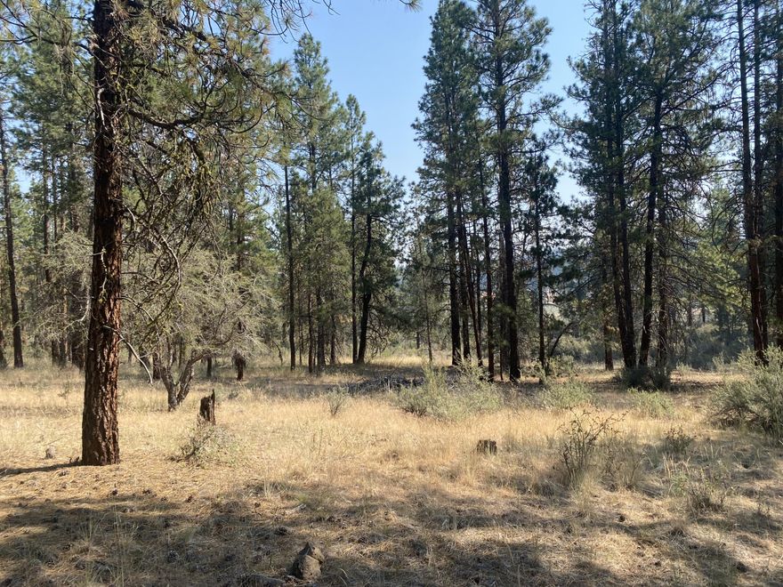 TWO adjoining lots for sale! Investment opportunity as both lots have septic approval and a house can be built on each. Power poles are located on Bufflehead Dr. providing direct access to power if a buyer wants to go that route. Lots of trees and privacy on the lot bordering Flamingo Rd.
Endless possibilities with this stunning 3.76-acre parcel of paradise! Whether you're dreaming of building your custom home, starting a serene retreat, or investing in a piece of the future, this gorgeous land is your canvas. Don't miss out on making your vision a reality! Buyer to do own due diligence regarding property use.