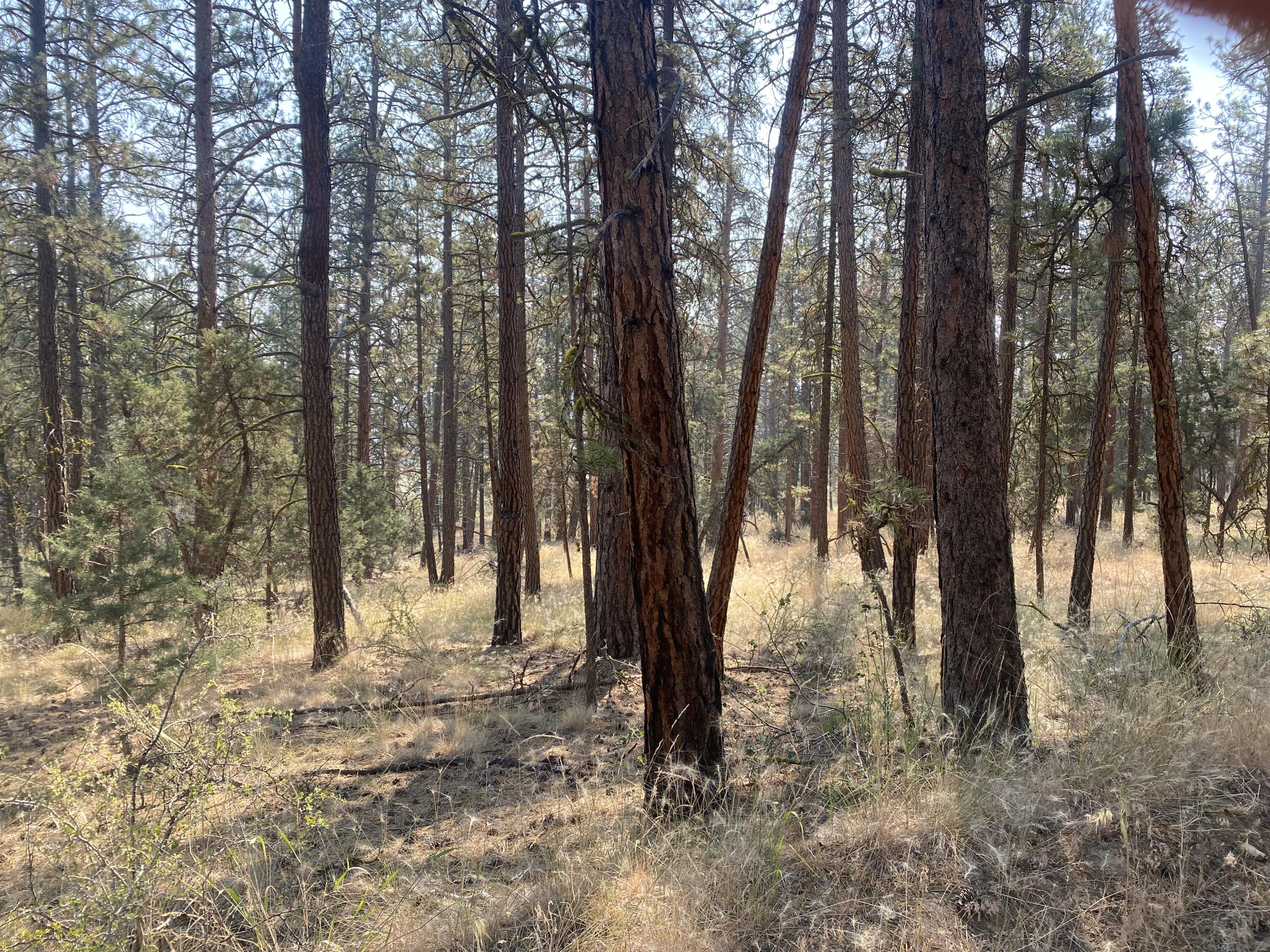 Klamath Falls Forest Estates -Hwy 66 Unit -Plat No. 2 - Land