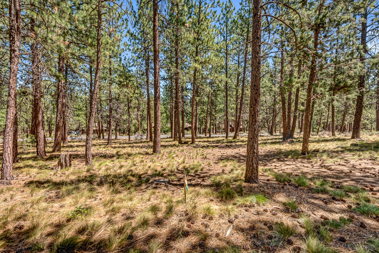 Sunrise Village - Land