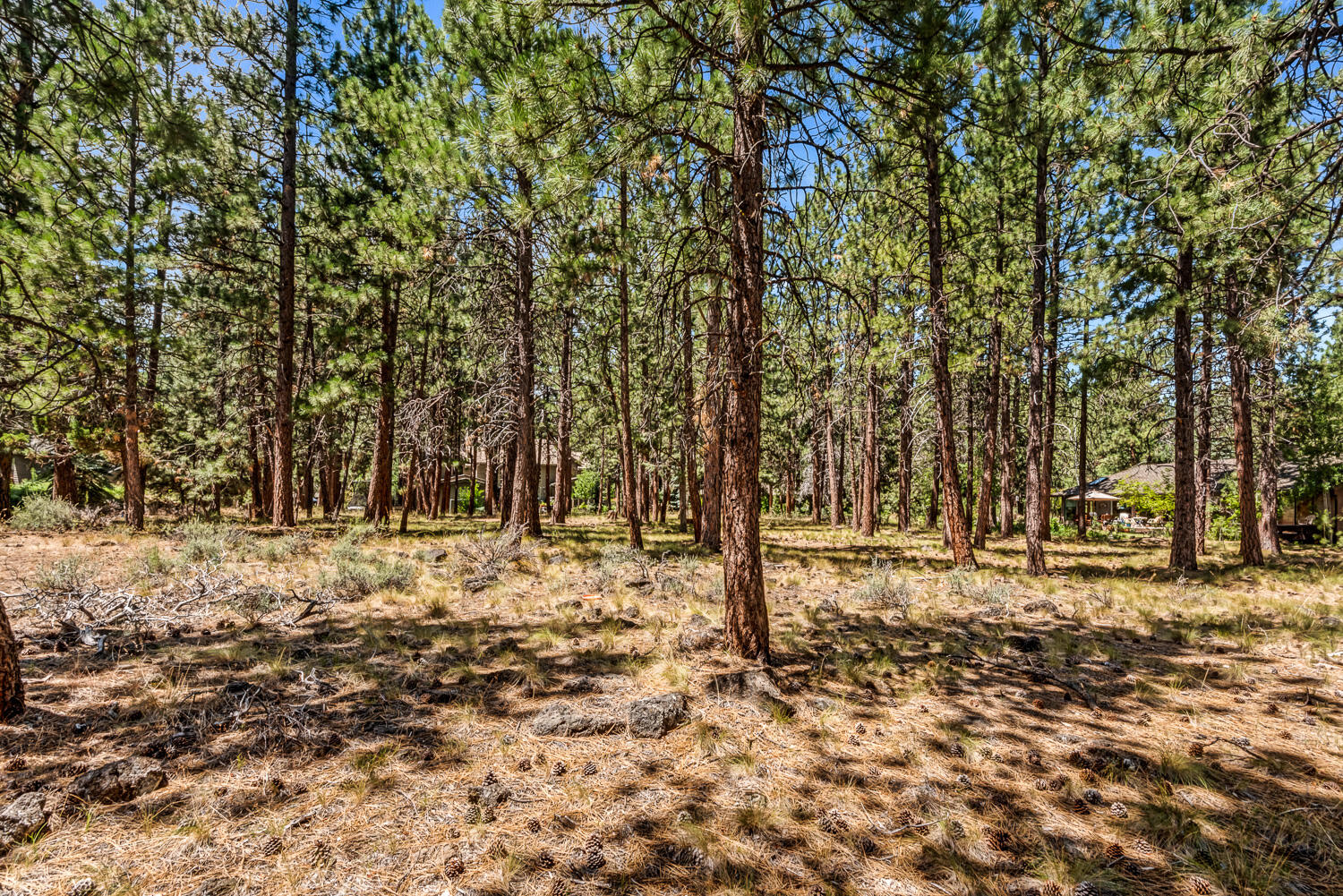 Sunrise Village - Land