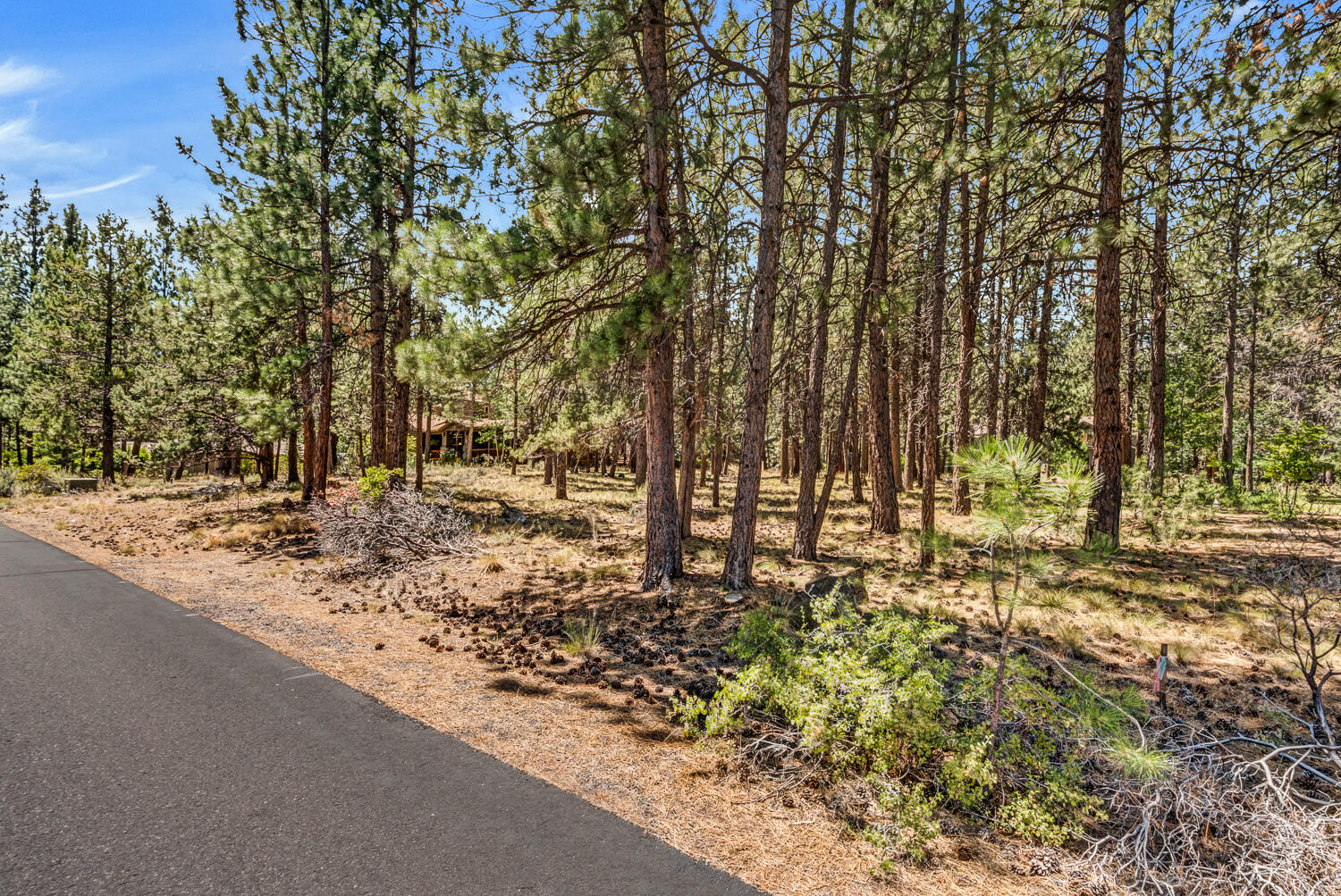 Sunrise Village - Land