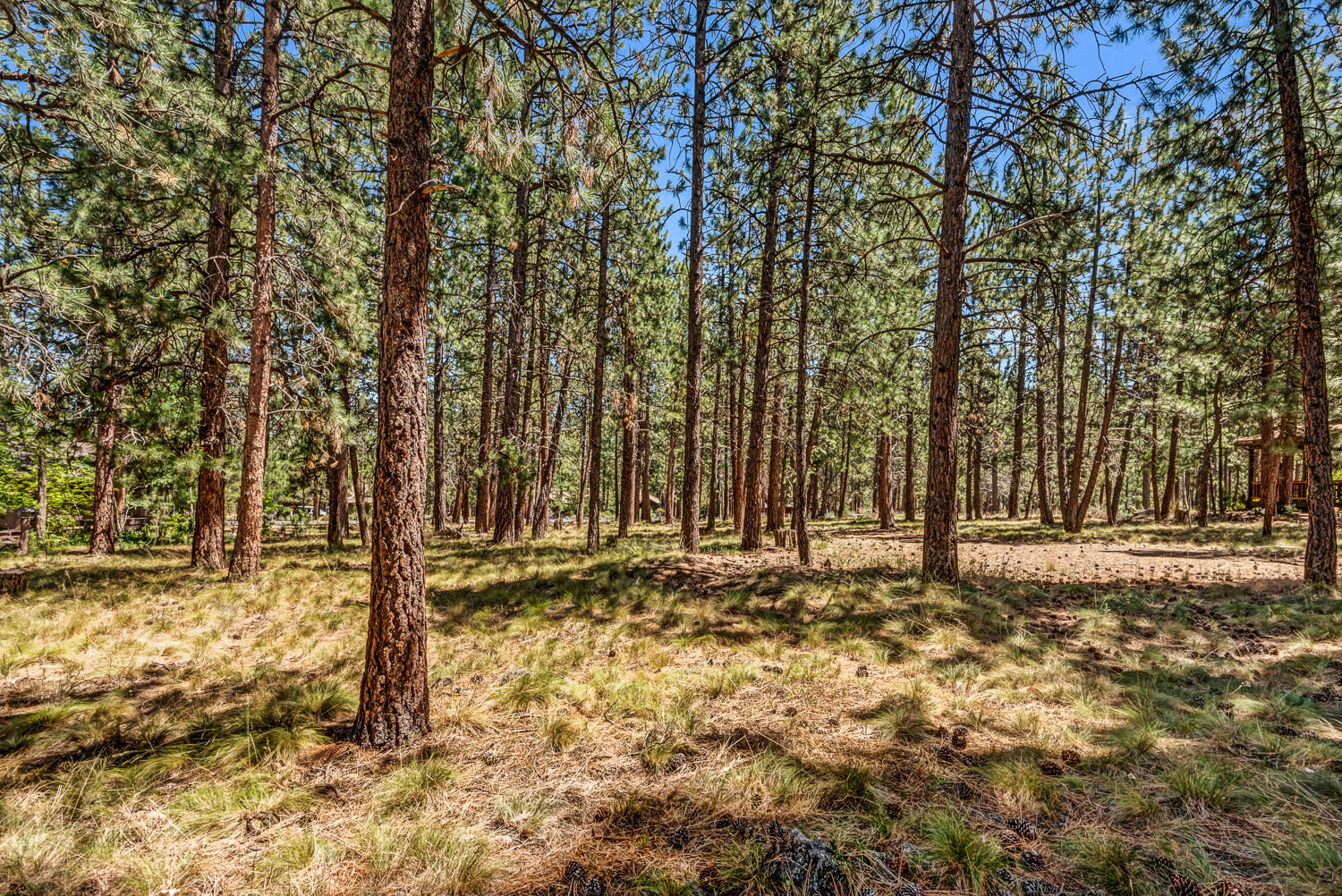 Sunrise Village - Land