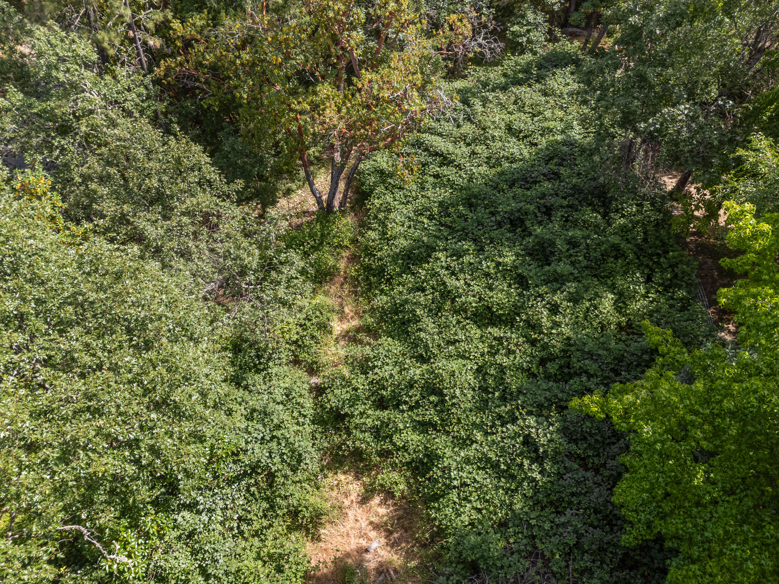Grants Pass Original Townsite - Residential