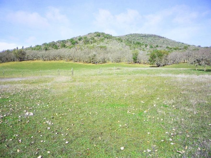 Beautiful 40 acres of Scenic, Peaceful, and Rolling property situated only One mile from Gold Hill town! The included manufactured home has no value but does hold a home site to build your Dream home! The property has a fenced area perfect for Cattle/Livestock which is clear for grazing but also has lots of trees for shade. There are also several Apple trees! Septic recently pumped. Please perform your own due diligence as to the uses and conditions of the property. Seller will not carry