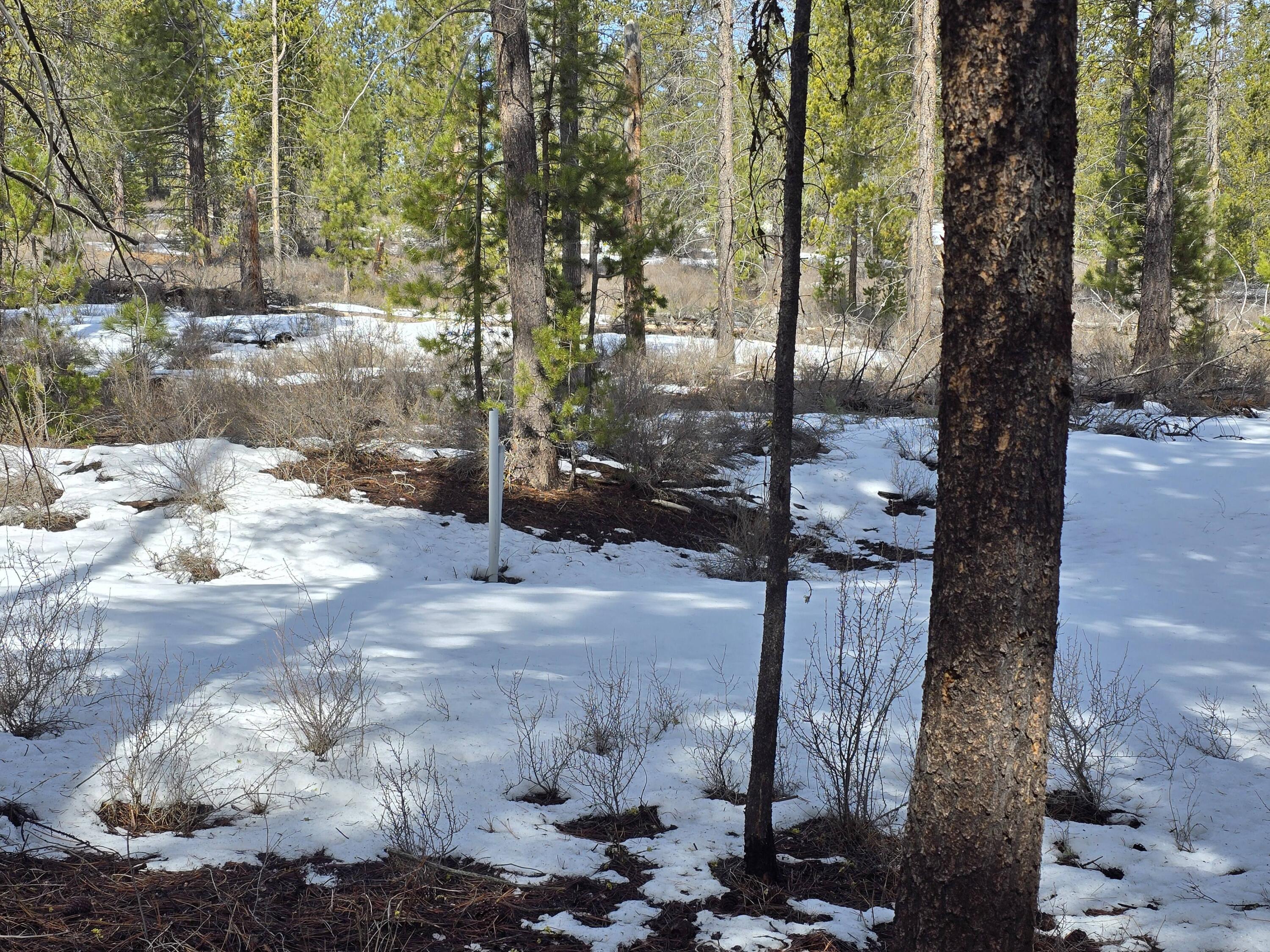 Kokakee