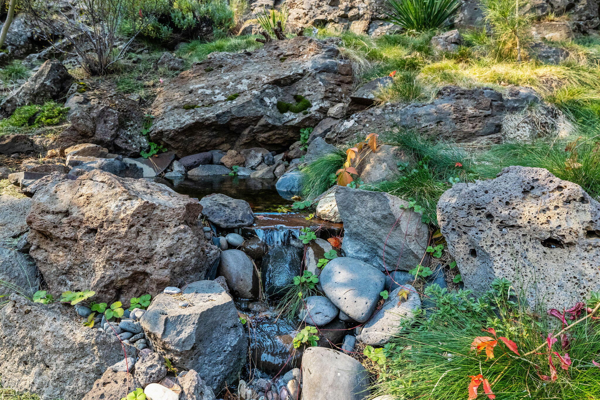 Rimrock West - Residential