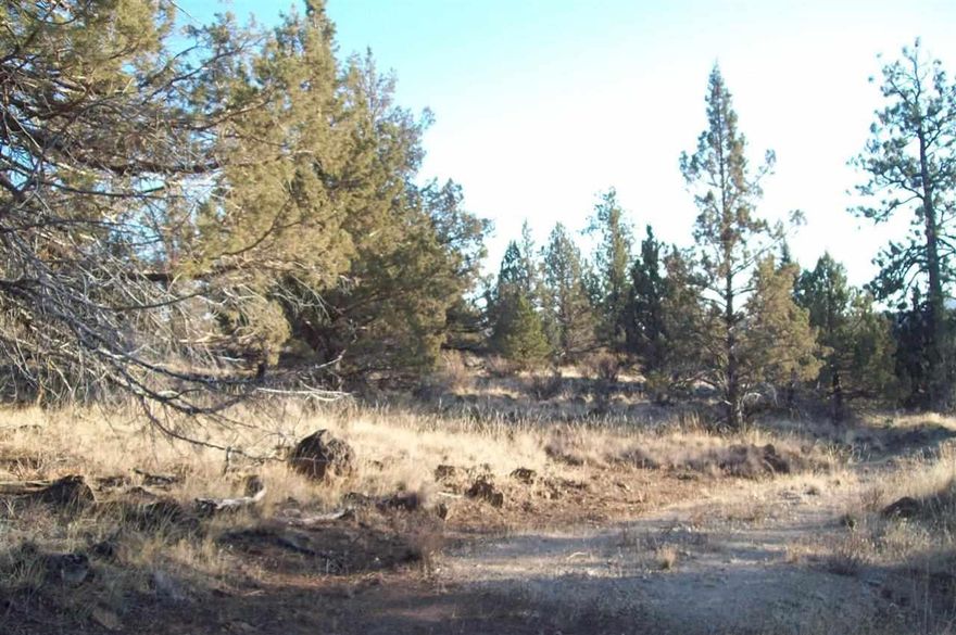 Approx. 6.96 Combined Acres With 3 Lots Available. In The Pines In The Bonanza Area. Owner Will Carry With Reasonable Down.