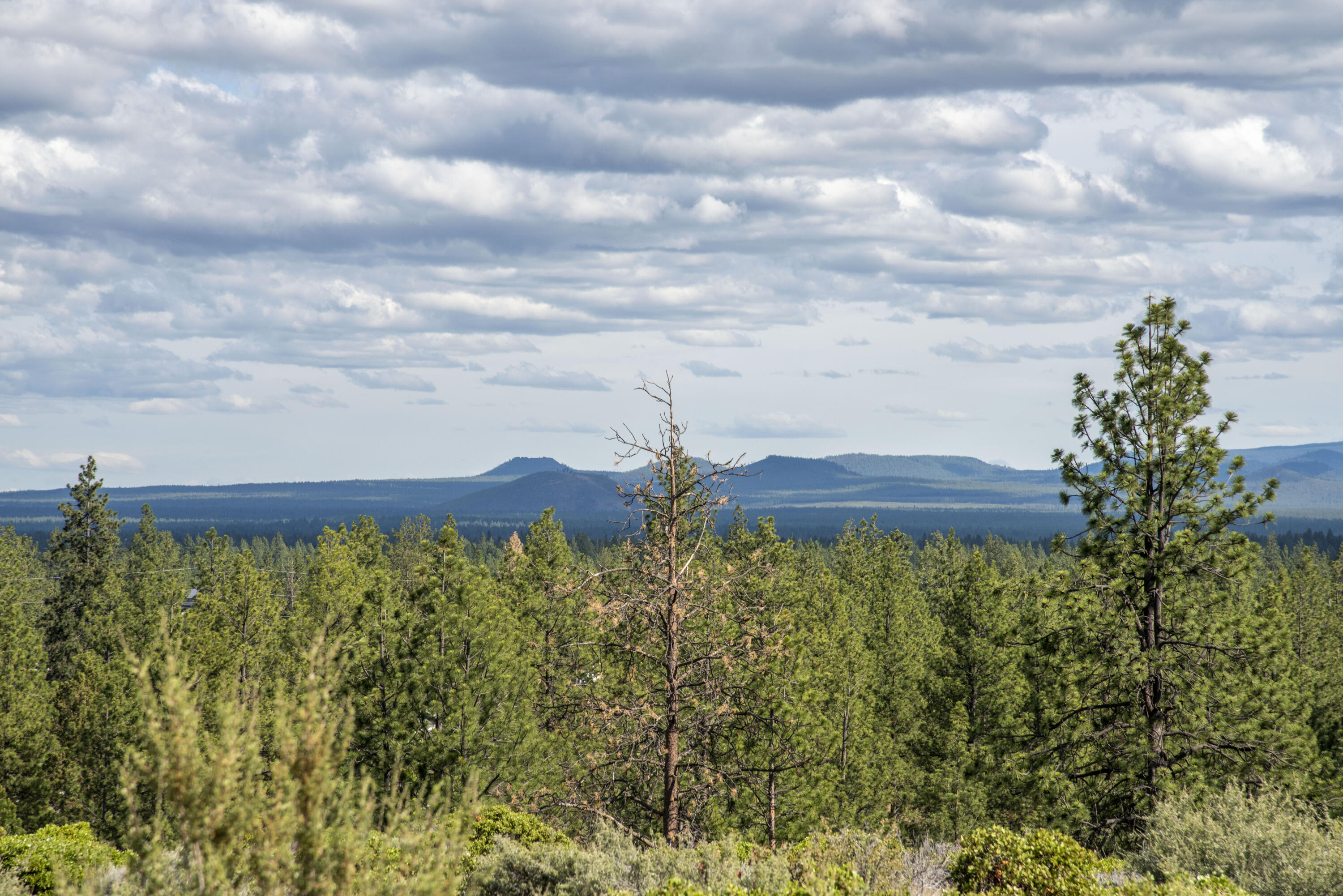 19121 Horizon View Drive