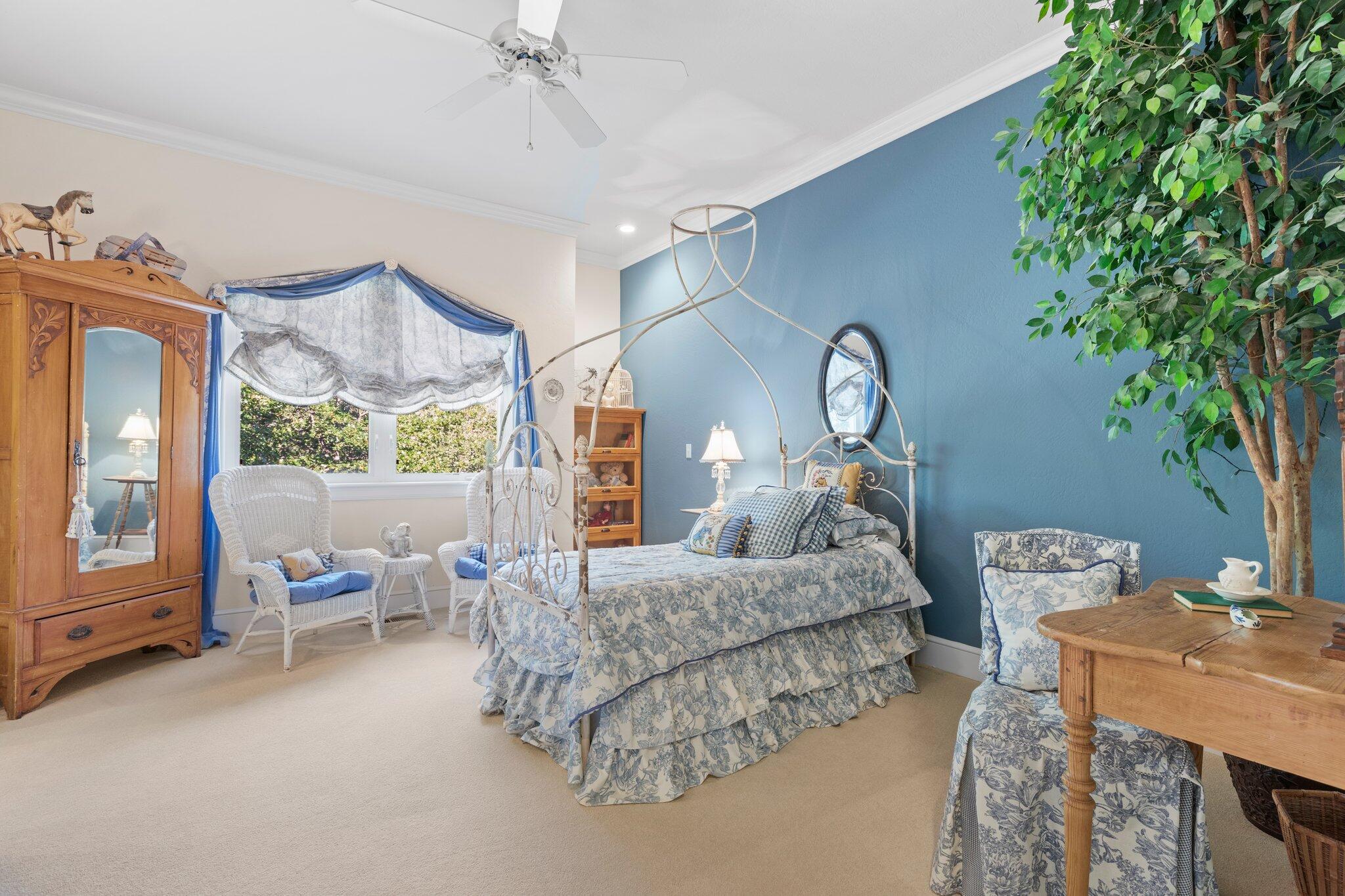 Buena Vista Heights Subdivision - Residential