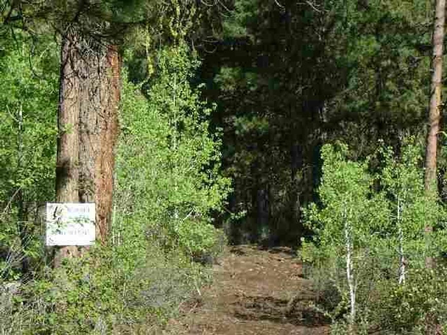 Nice Pine Covered Lot In An Upscale Developement With Access To The Williamson River. Site Built Homes Only