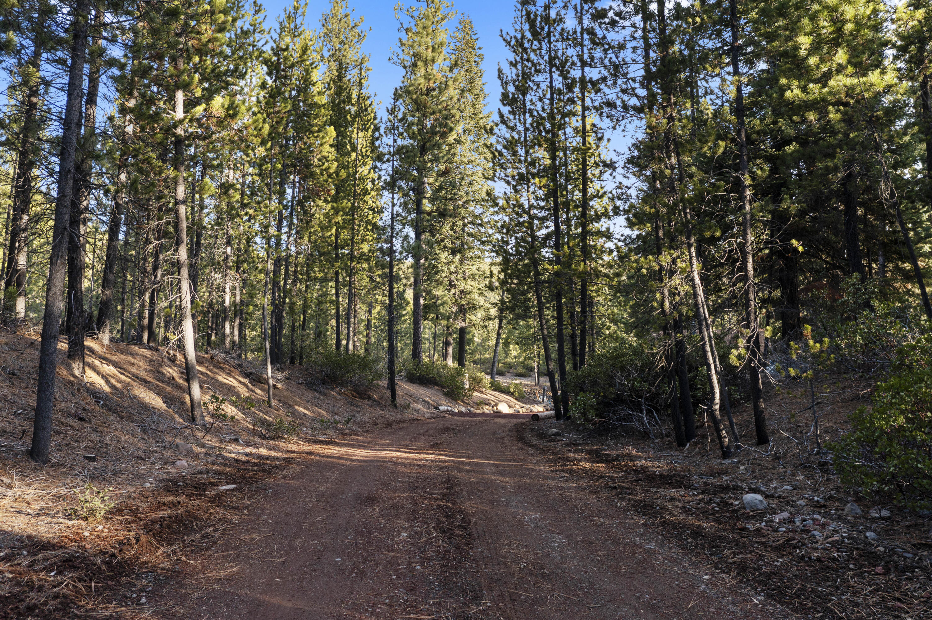 61567 Bearwallow Road