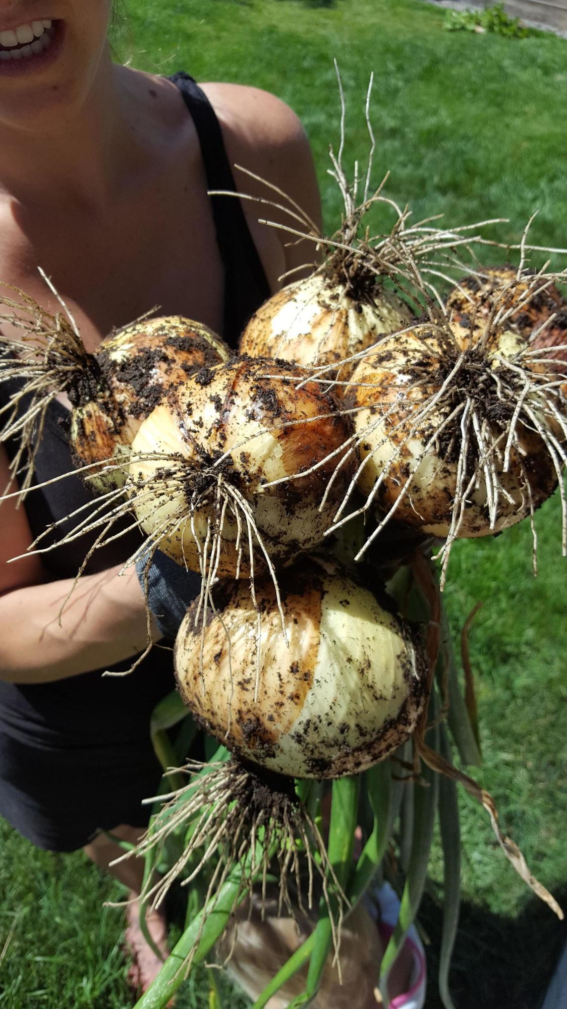 Hayden Acres - Residential