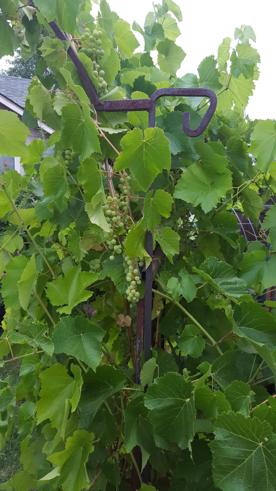 Hayden Acres - Residential