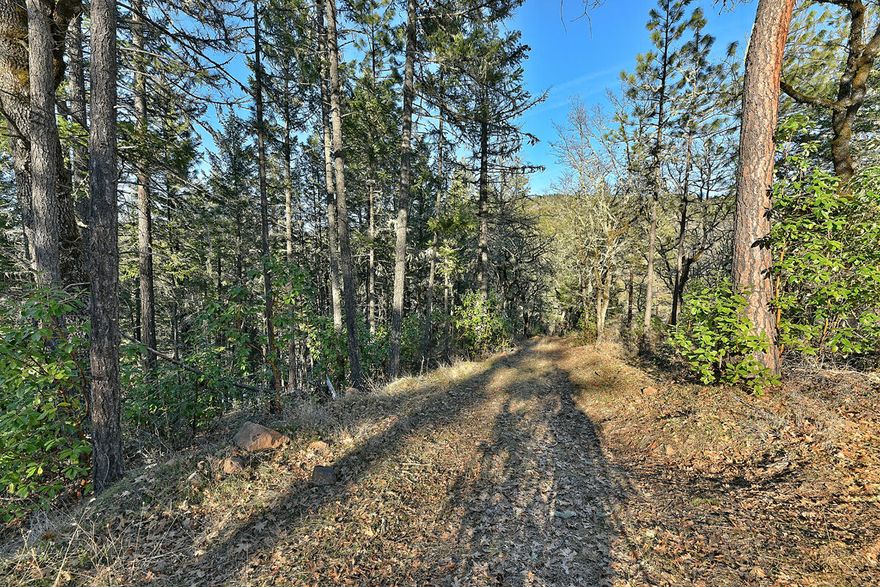 Build your dream home on this beautiful 4+ acre property! Partially wooded with tall pine and fir trees and incredible views from the top of the property. Walking distance to Aunt Caroline's Park and the Rogue River. Well (and new pump) 30+ gpm per seller and electrical to the property. Gravel driveway and gated entry. Septic needs work. Bid for installation of ATT system is $12,500 (to be completed by buyer). Property being sold ''as is''. Come tour this property today!