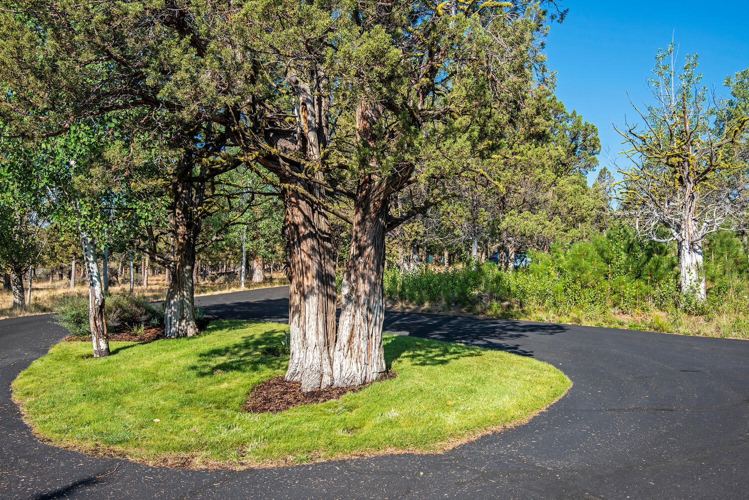 Ridge Indian Ford - Residential