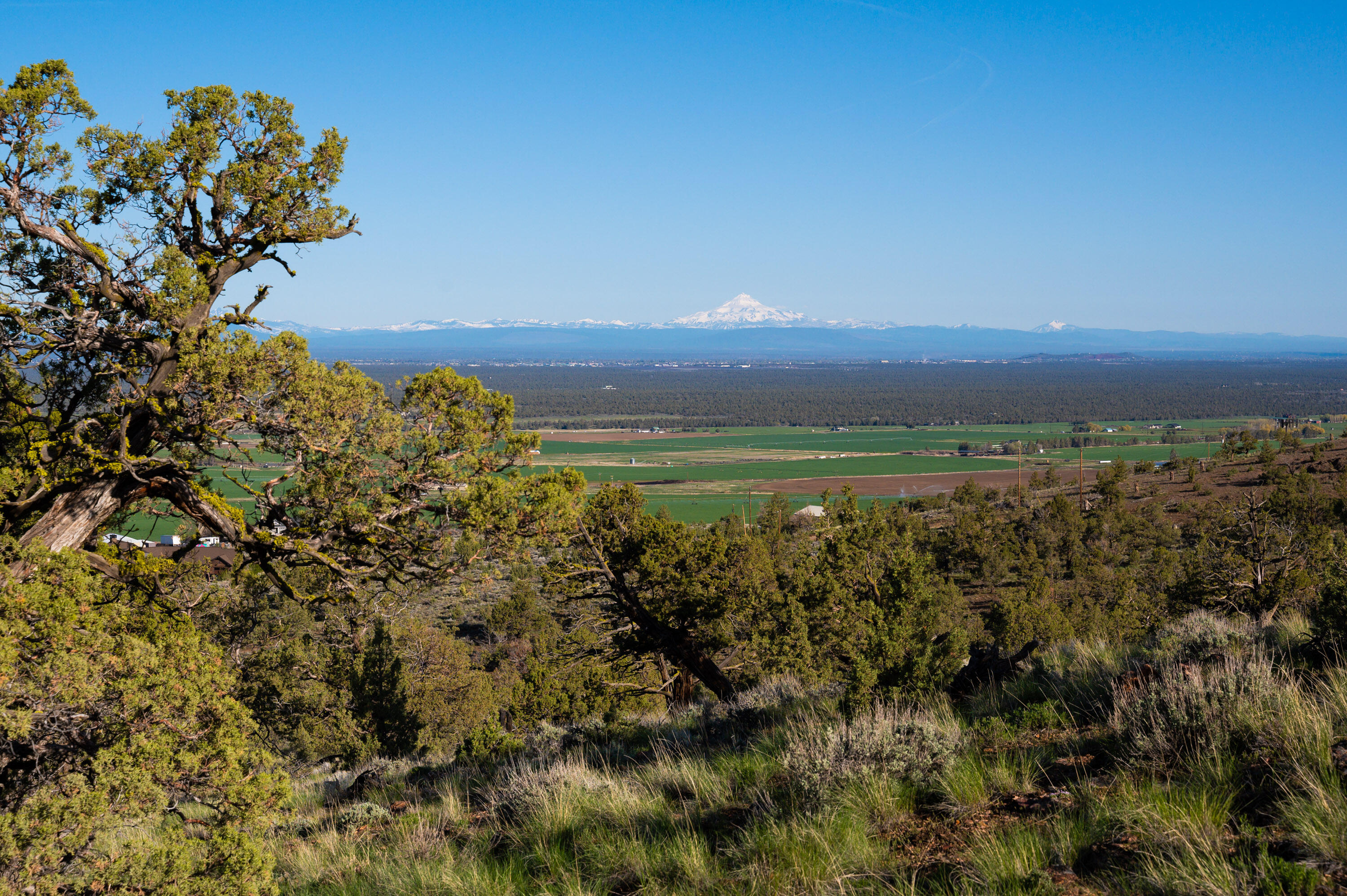 Powell Butte View - Land