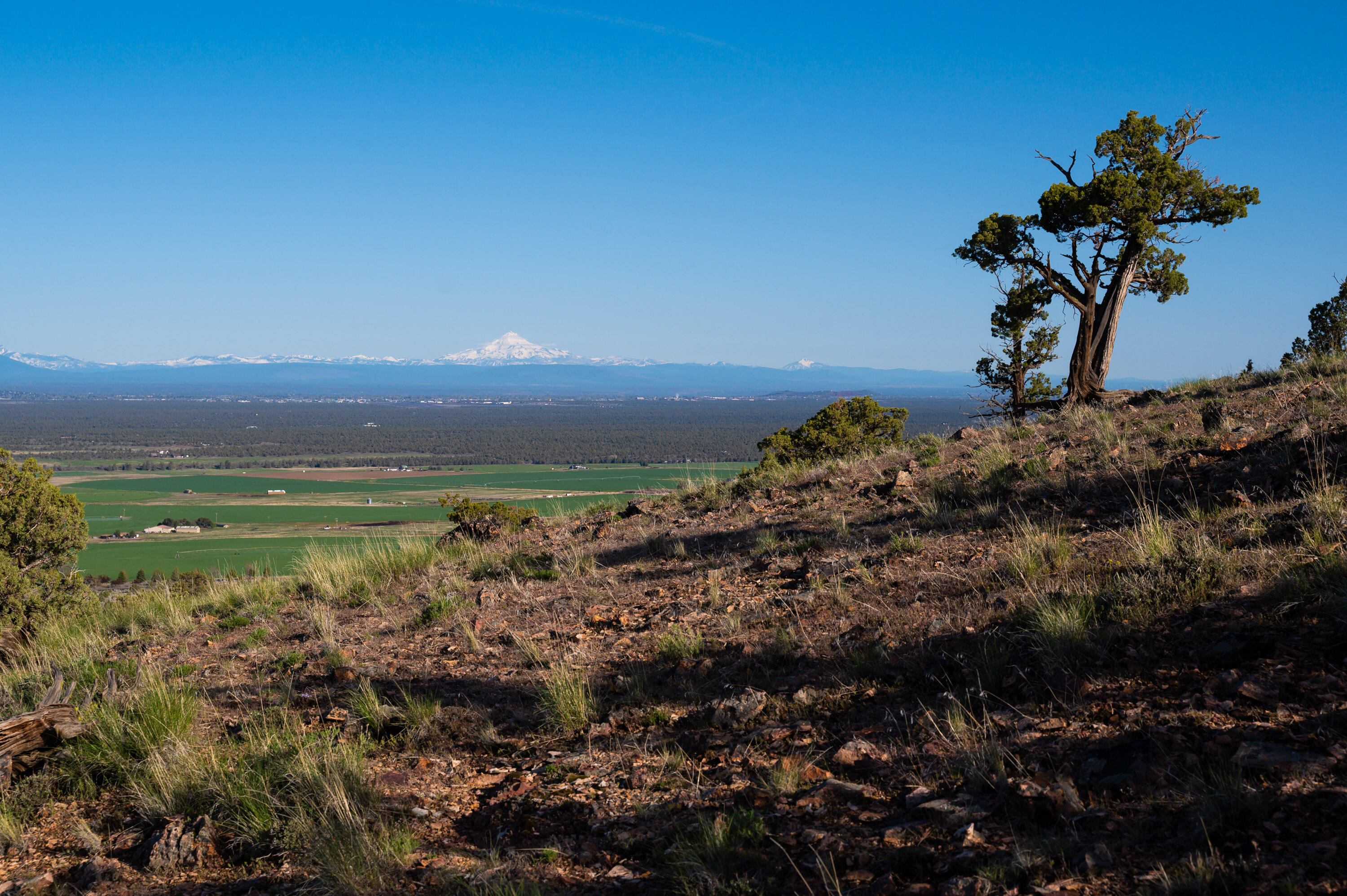 Powell Butte View - Land