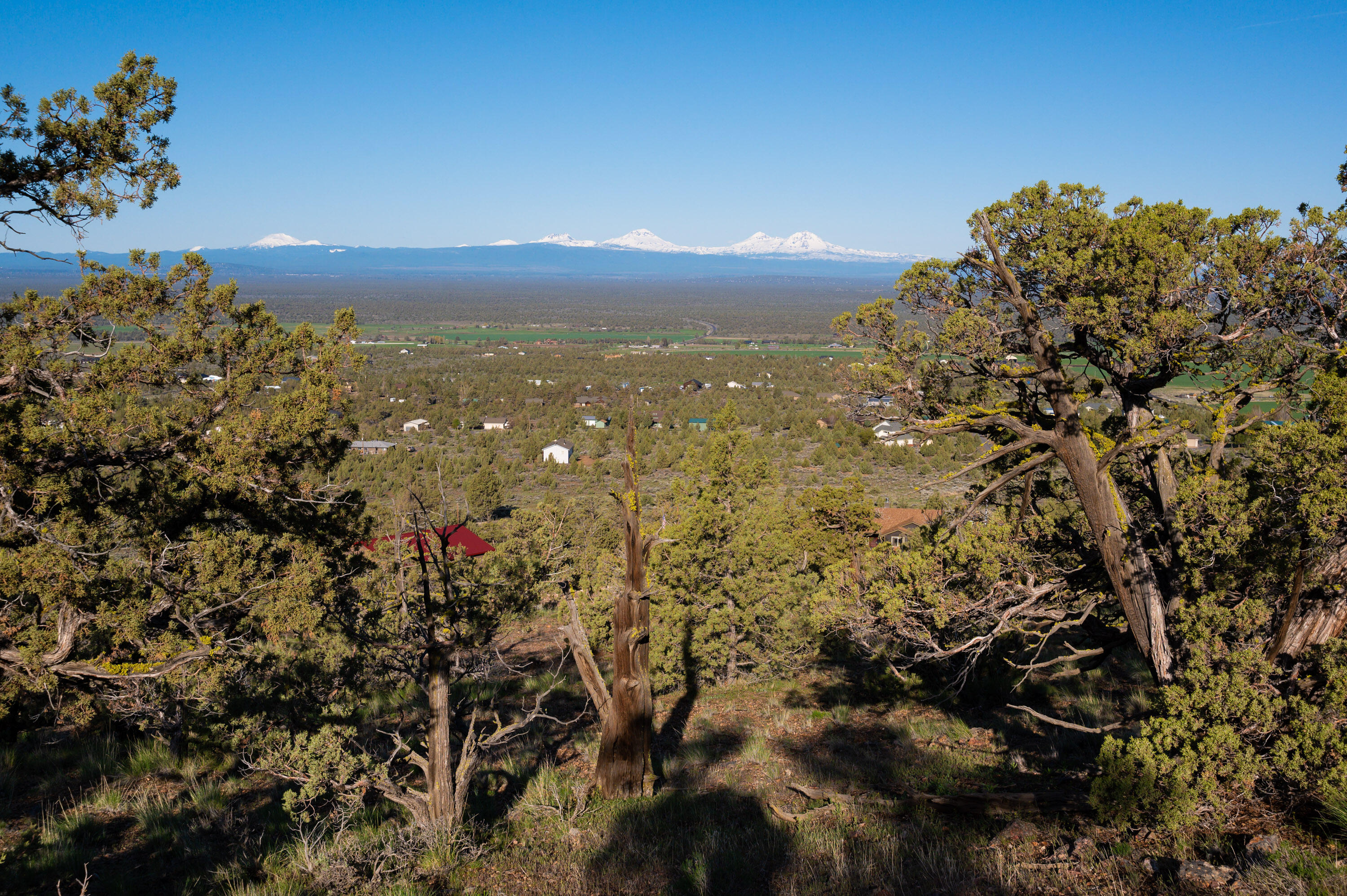 Powell Butte View - Land