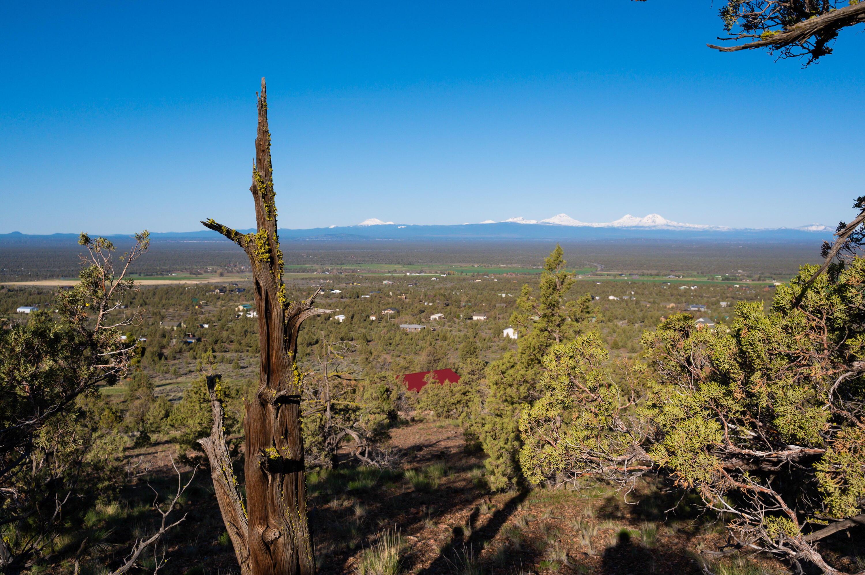 Powell Butte View - Land