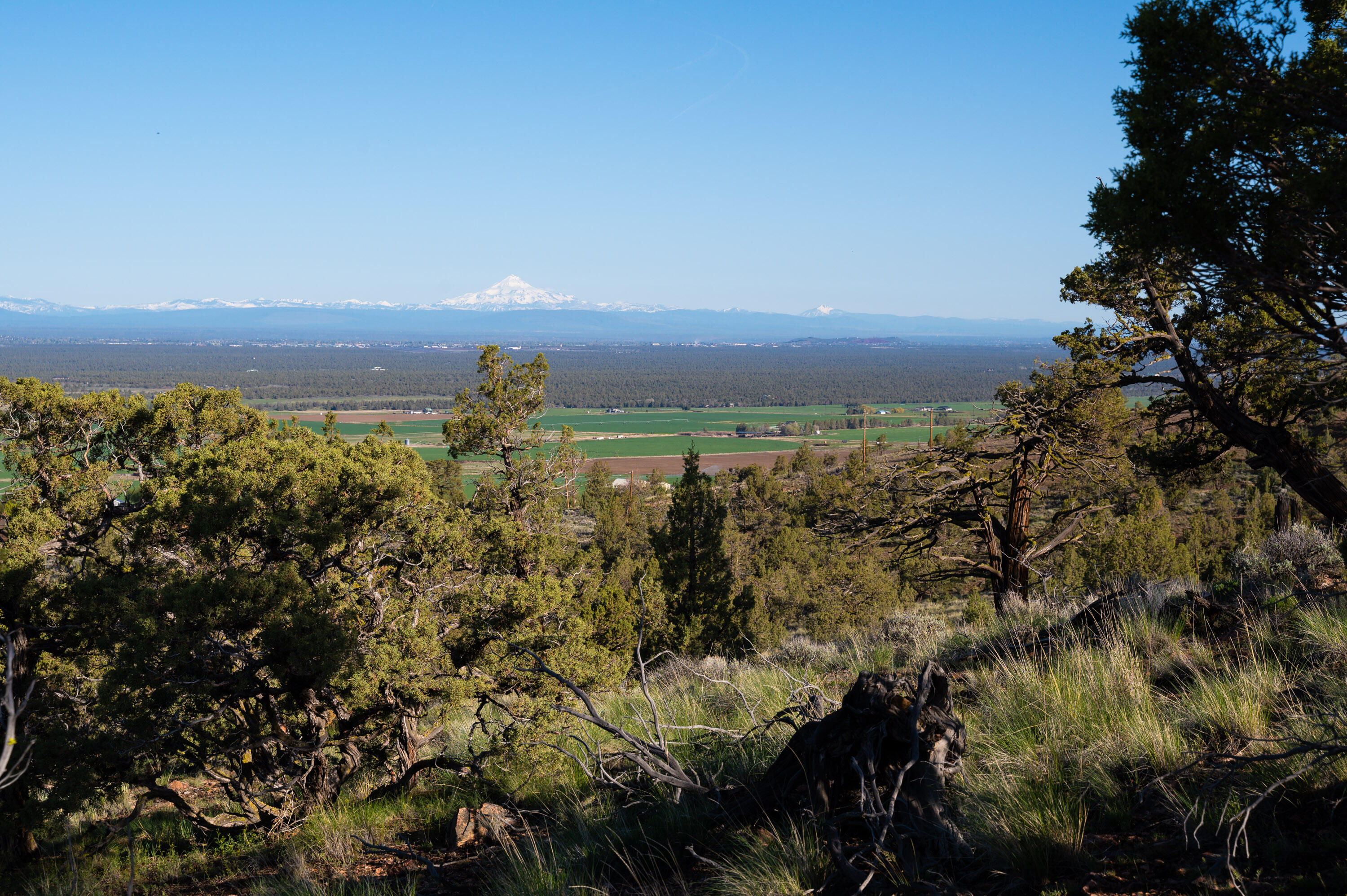 Powell Butte View - Land