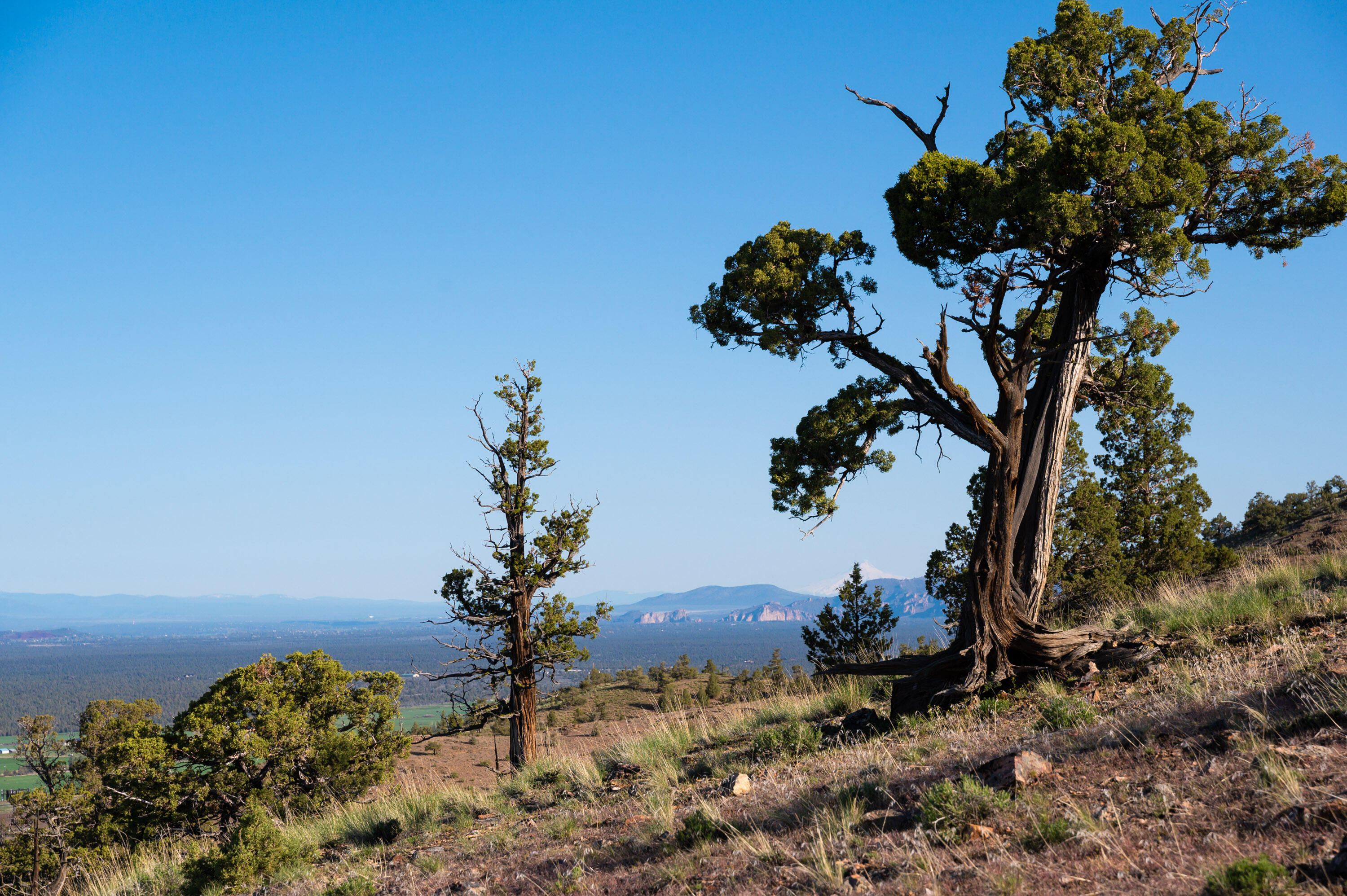 Powell Butte View - Land