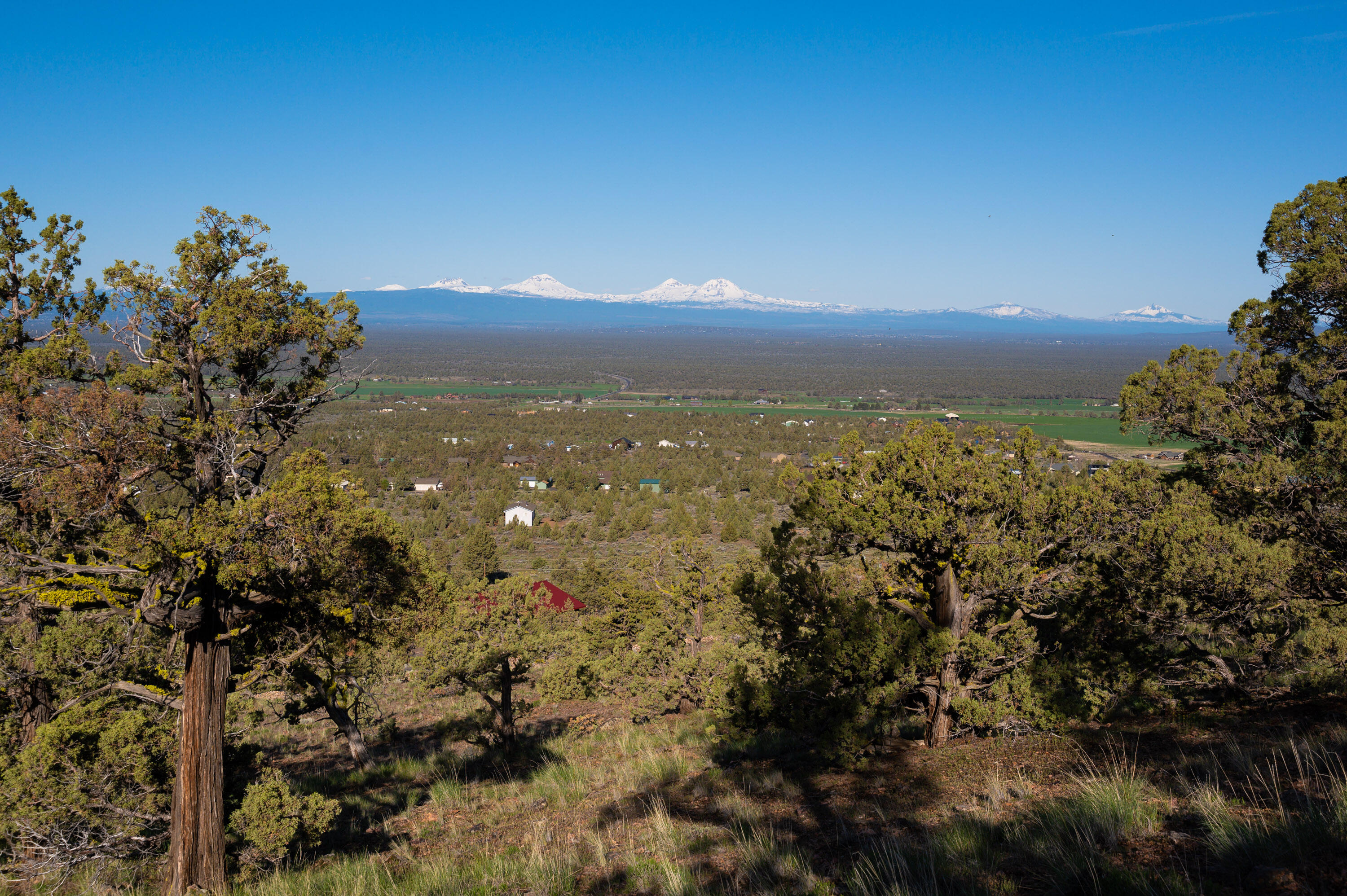 Powell Butte View - Land