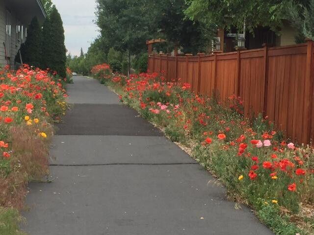 Canyon Rim Village - Land
