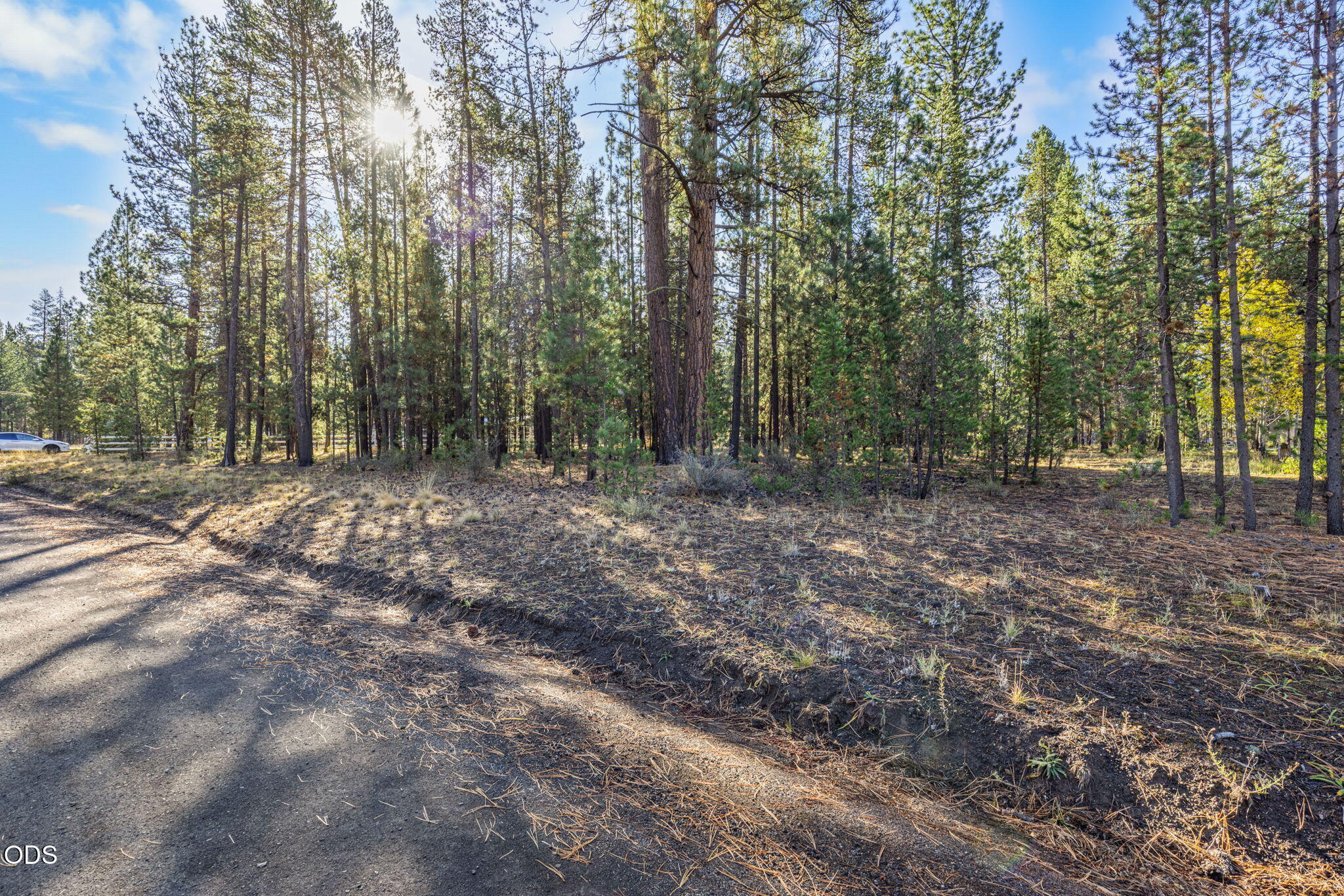 52755 Ammon Road