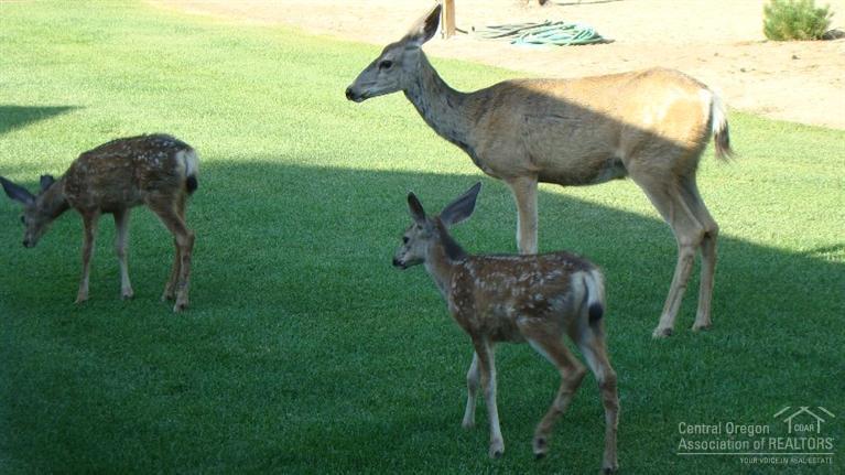 LazyRS - Residential