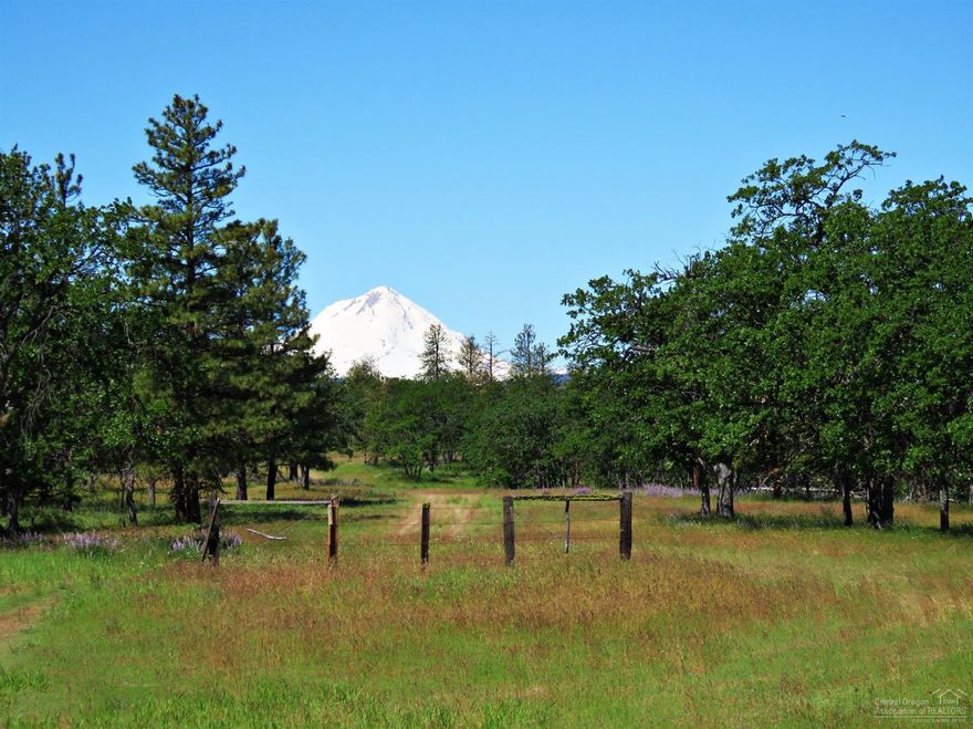 Come let us show you this BEAUTIFUL 1,462 acres just south of The Dalles, Oregon. With Wheat, Alfalfa and Livestock your dollars are diversified.This ranch is famous for it's high quality hay that sells to the Portland Market. They are one of the closest high quality Eastern Oregon Hay Producers, just an hour and 45 minutes from Portland. With a total of 1,462 Acres with over 600 acres of water rights, 510 Acres Non-Irrigated Farmland and Pasture, 733 Acres of Woods and Rangeland and Two Homes.