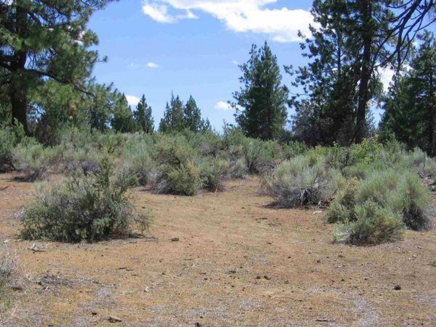 Hard To Find 2 Adjoining Lots With Tall Trees And Power To The Edge Of One Lot At The Road! This Part Of Klamath Forest Estates Was Not Touched By The July 2014 Fire. Perfect For That Vacation Get-away Or Retirement Home! Close To National Forest, Hunting And Lots Of Wildlife.