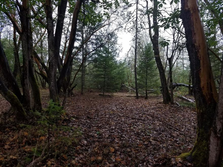 Come see this 4.49 acre level, partially wooded parcel in the North Valley priced at only $135,000. The property has septic approval and in an area of good wells. No deed restrictions so you can either have a home built or pick out a manufactured home. Make this yours! Owner may carry with minimum of $20,000 down, Due in 5 years.