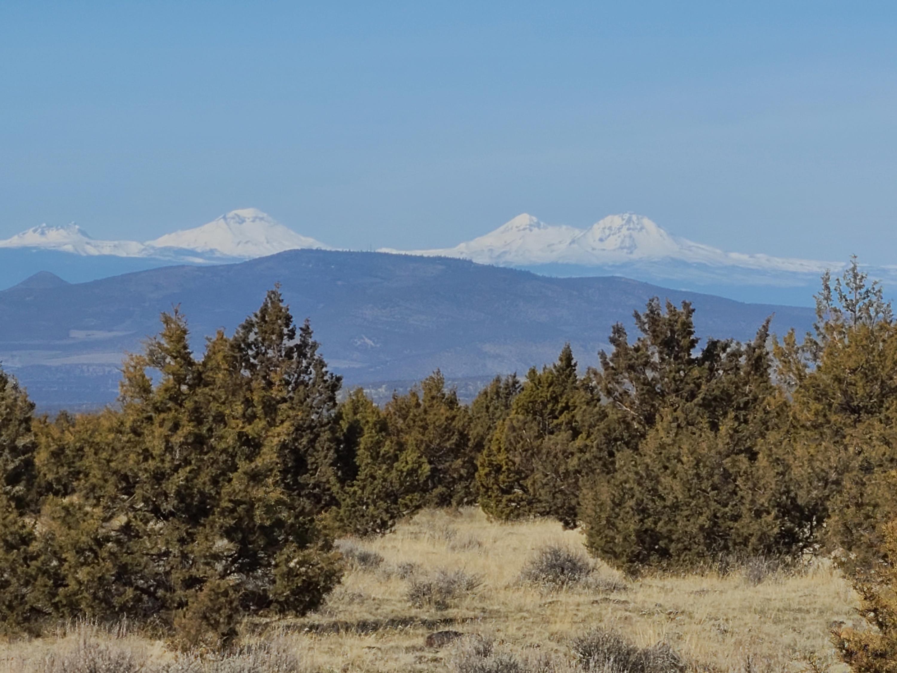 Ochoco Land + Livest - Land