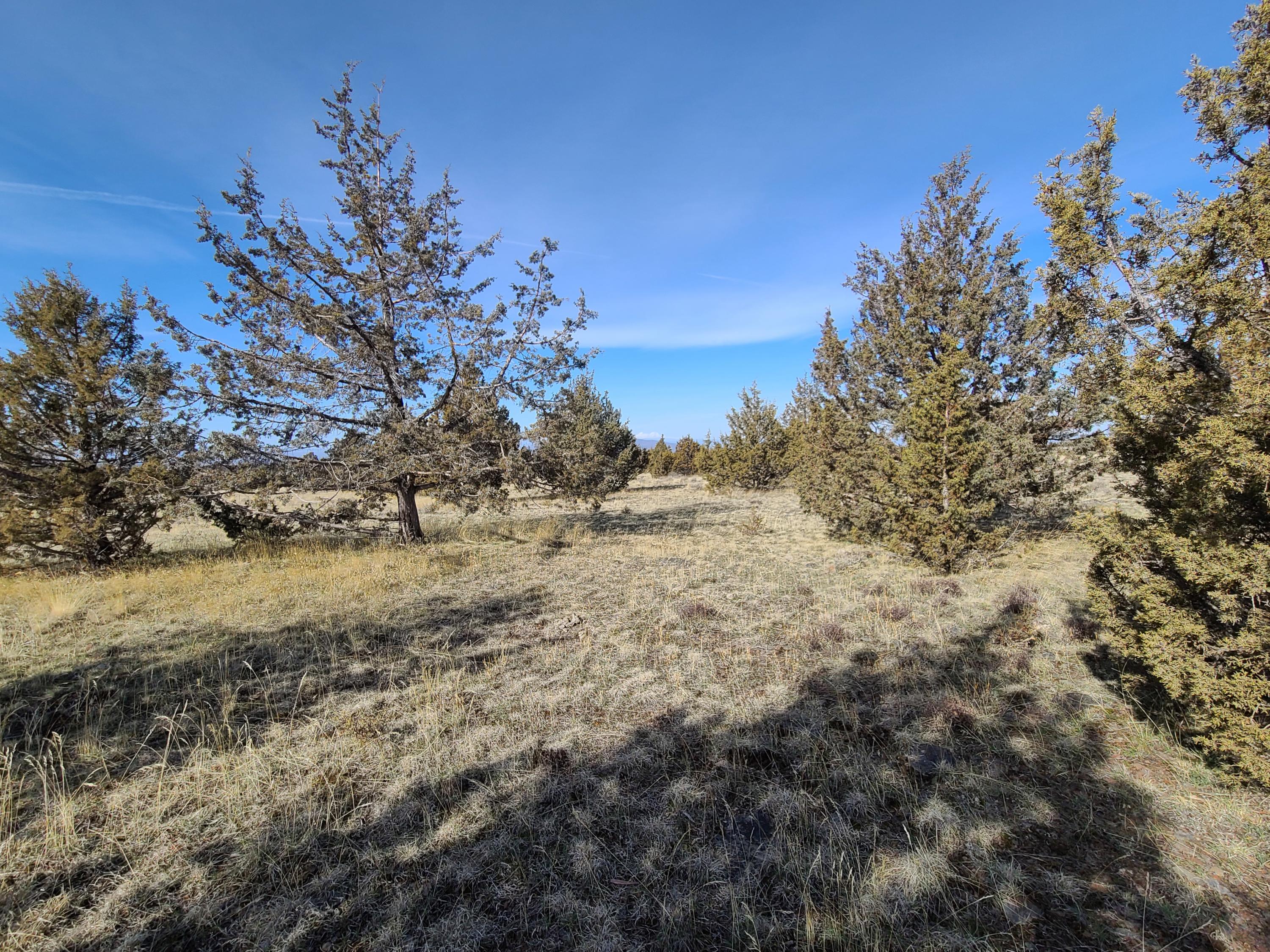 Ochoco Land + Livest - Land