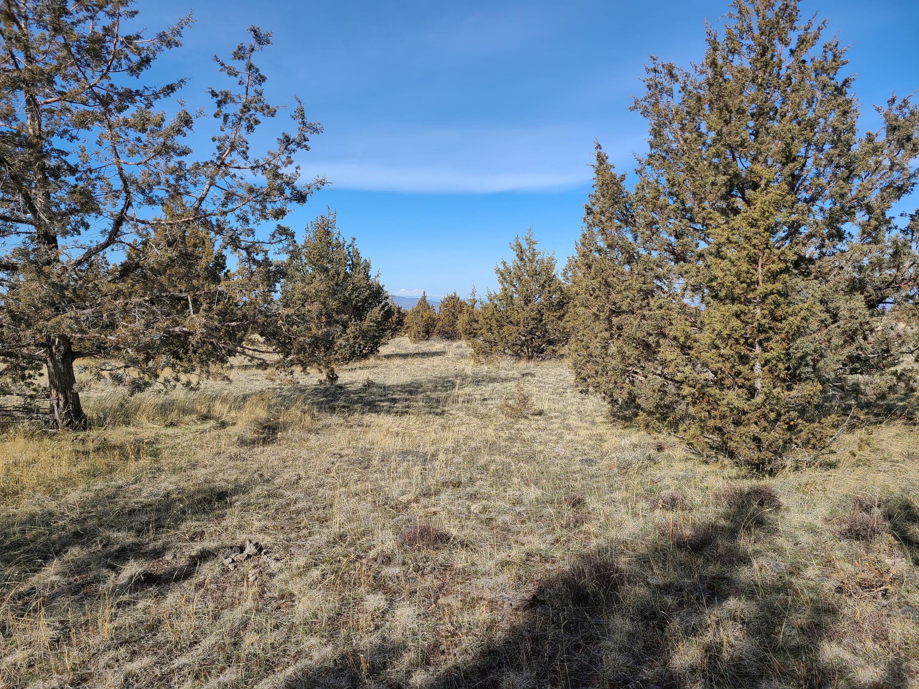 Ochoco Land + Livest - Land